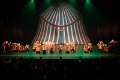 Mini Stars Circus 3D  35